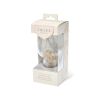 Glass Hurricane Bottle Lamp by Twine