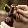Faux Wood Bottle Opener Sunglasses by Foster & Rye