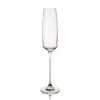 Reserve Julien Crystal Champagne Flute Glasses Viski