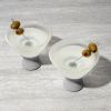 Glass FREEZE Martini Glass (set of two) in Gray by HOST