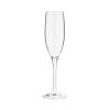 Hardy: Acrylic Champagne Glass