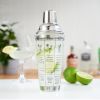 Glass Recipe 13.5z  Shaker by True